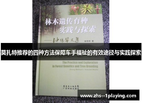 莫扎特推荐的四种方法保障车手福祉的有效途径与实践探索 莫扎特推荐的四种方法保障车手福祉的有效途径与实践探索