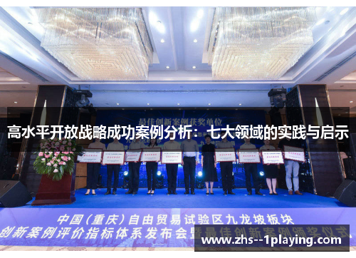 高水平开放战略成功案例分析：七大领域的实践与启示
