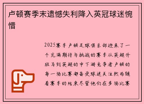 卢顿赛季末遗憾失利降入英冠球迷惋惜