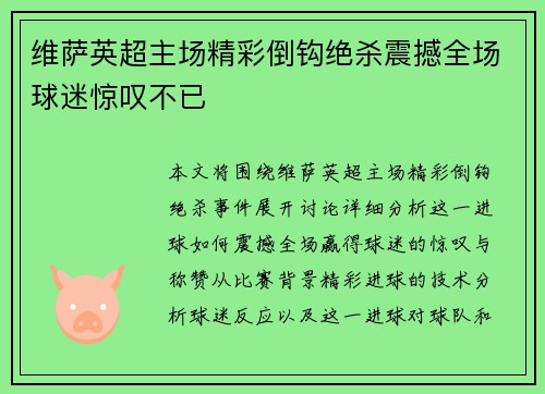 维萨英超主场精彩倒钩绝杀震撼全场球迷惊叹不已